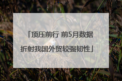 顶压前行 前5月数据折射我国外贸较强韧性