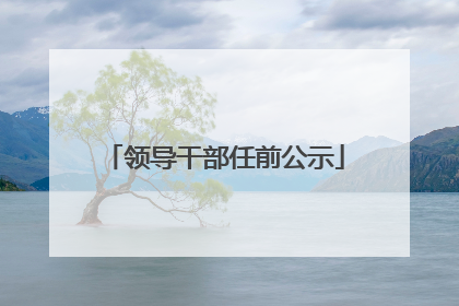 领导干部任前公示