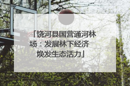 饶河县国营通河林场：发展林下经济 焕发生态活力