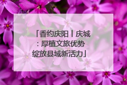 香约庆阳丨庆城：厚植文旅优势 绽放县域新活力