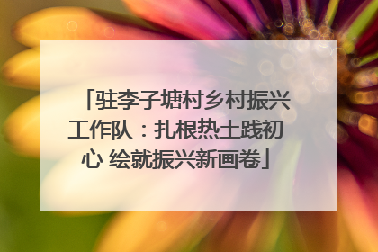 驻李子塘村乡村振兴工作队：扎根热土践初心 绘就振兴新画卷
