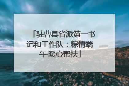 驻曹县省派第一书记和工作队：粽情端午·暖心帮扶