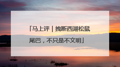 马上评｜拽断西湖松鼠尾巴，不只是不文明