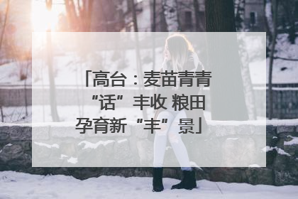 高台：麦苗青青“话”丰收 粮田孕育新“丰”景