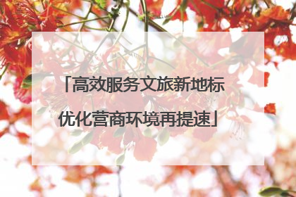 高效服务文旅新地标 优化营商环境再提速