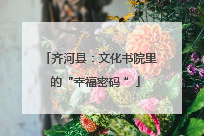齐河县：文化书院里的“幸福密码 ”