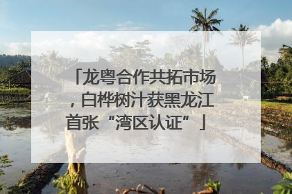 龙粤合作共拓市场，白桦树汁获黑龙江首张“湾区认证”
