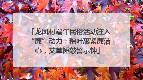 龙凤村端午民俗活动注入“廉”动力：粽叶裹紧廉洁心，艾草锤敲警示钟