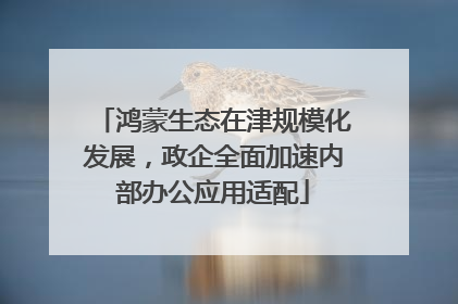 鸿蒙生态在津规模化发展，政企全面加速内部办公应用适配