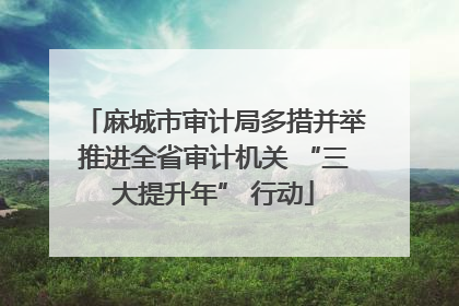 麻城市审计局多措并举推进全省审计机关 “三大提升年” 行动