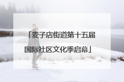 麦子店街道第十五届国际社区文化季启幕
