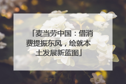 麦当劳中国：借消费提振东风，绘就本土发展新蓝图