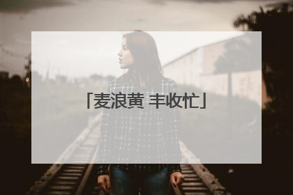 麦浪黄 丰收忙