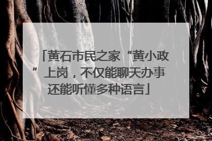 黄石市民之家“黄小政”上岗，不仅能聊天办事还能听懂多种语言