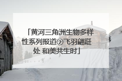 黄河三角洲生物多样性系列报道②飞羽翩跹处 和美共生时