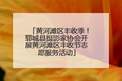 黄河滩区丰收季！郓城县摄影家协会开展黄河滩区丰收节志愿服务活动