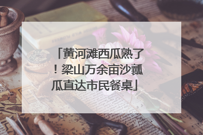 黄河滩西瓜熟了！梁山万余亩沙瓤瓜直达市民餐桌