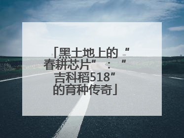 黑土地上的“春耕芯片”：“吉科稻518”的育种传奇