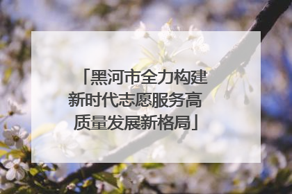 黑河市全力构建新时代志愿服务高质量发展新格局