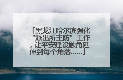 黑龙江哈尔滨强化“派出所主防”工作，让平安建设触角延伸到每个角落……