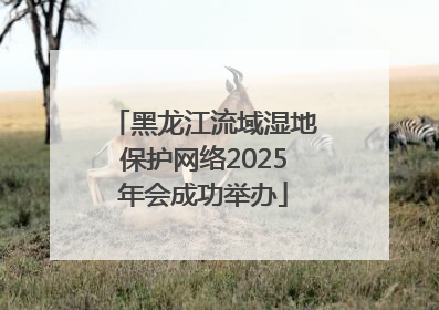 黑龙江流域湿地保护网络2025年会成功举办