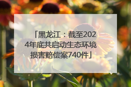 黑龙江：截至2024年底共启动生态环境损害赔偿案740件