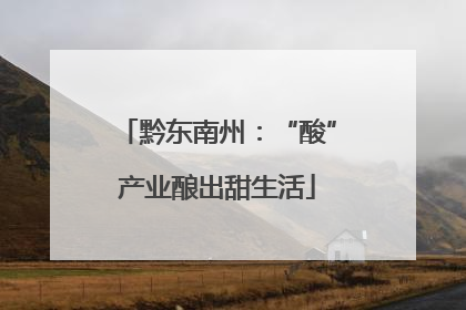黔东南州：“酸”产业酿出甜生活