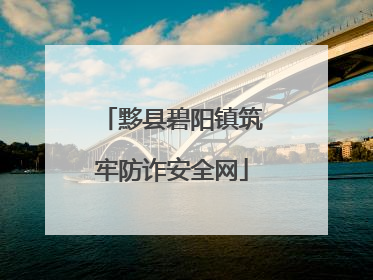 黟县碧阳镇筑牢防诈安全网