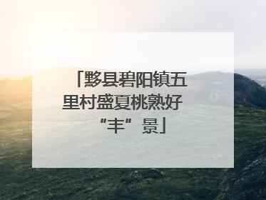 黟县碧阳镇五里村盛夏桃熟好“丰”景