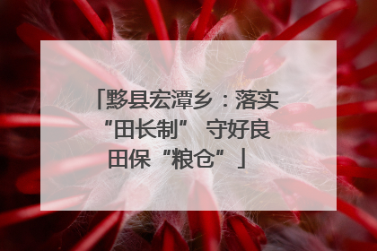 黟县宏潭乡：落实“田长制” 守好良田保“粮仓”