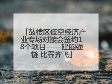 鼓楼区低空经济产业专场对接会签约18个项目——建圈强链 比翼齐飞