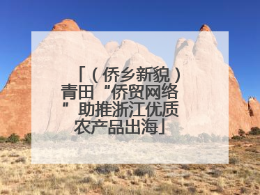 （侨乡新貌）青田“侨贸网络”助推浙江优质农产品出海