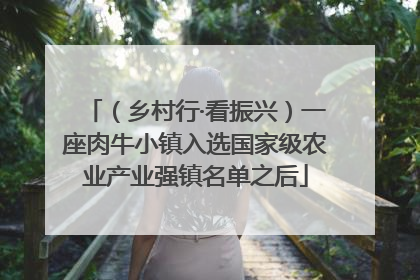 （乡村行·看振兴）一座肉牛小镇入选国家级农业产业强镇名单之后