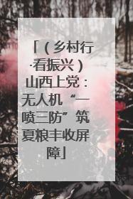 （乡村行·看振兴）山西上党：无人机“一喷三防”筑夏粮丰收屏障