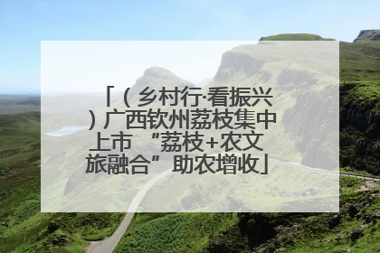 （乡村行·看振兴）广西钦州荔枝集中上市 “荔枝+农文旅融合”助农增收