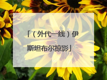 （外代一线）伊斯坦布尔掠影