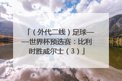 （外代二线）足球——世界杯预选赛：比利时胜威尔士（3）
