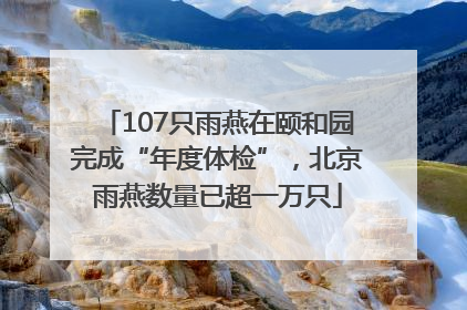 107只雨燕在颐和园完成“年度体检”，北京雨燕数量已超一万只