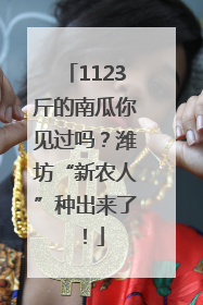 1123斤的南瓜你见过吗？潍坊“新农人”种出来了！