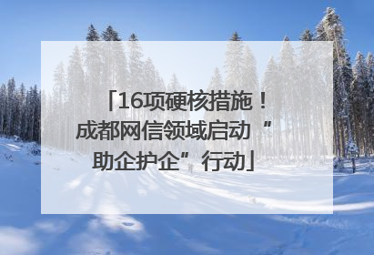 16项硬核措施！成都网信领域启动“助企护企”行动