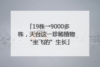 19株→9000多株，天台这一珍稀植物“坐飞的”生长