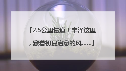 2.5公里慢道！丰泽这里，藏着初夏治愈的风……