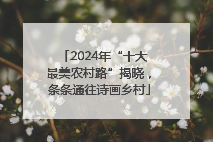 2024年“十大最美农村路”揭晓，条条通往诗画乡村