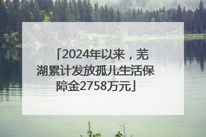 2024年以来，芜湖累计发放孤儿生活保障金2758万元