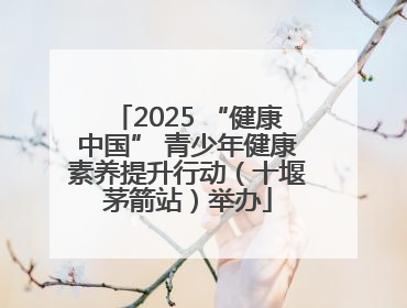 2025 “健康中国” 青少年健康素养提升行动（十堰茅箭站）举办