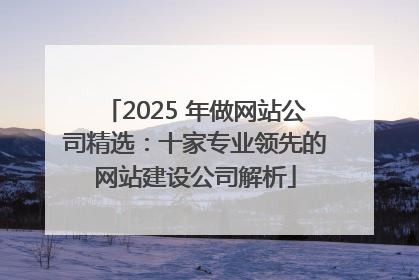 2025 年做网站公司精选：十家专业领先的网站建设公司解析