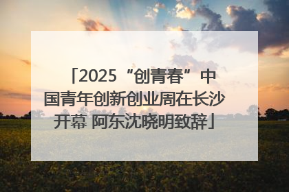 2025“创青春”中国青年创新创业周在长沙开幕 阿东沈晓明致辞