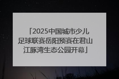 2025中国城市少儿足球联赛岳阳预赛在君山江豚湾生态公园开幕