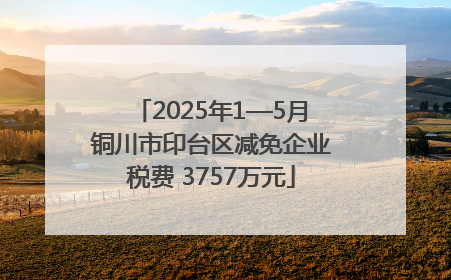 2025年1—5月铜川市印台区减免企业税费 3757万元