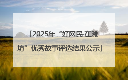 2025年“好网民·在潍坊”优秀故事评选结果公示
